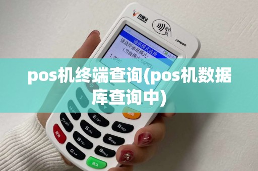 pos机终端查询(pos机数据库查询中)