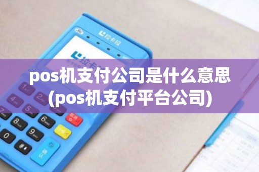 pos机支付公司是什么意思(pos机支付平台公司)