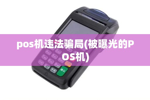 pos机违法骗局(被曝光的POS机)