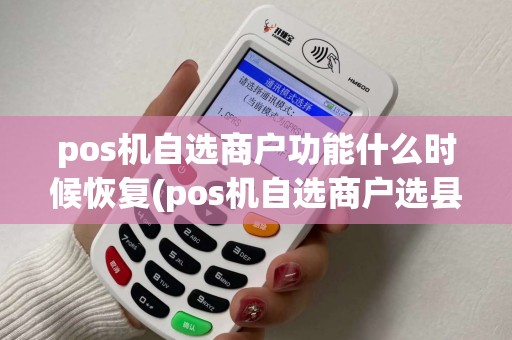 pos机自选商户功能什么时候恢复(pos机自选商户选县城)