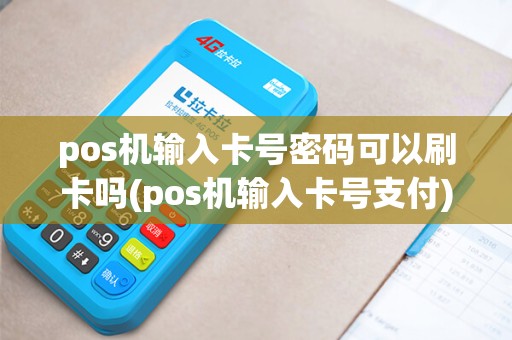 pos机输入卡号密码可以刷卡吗(pos机输入卡号支付)