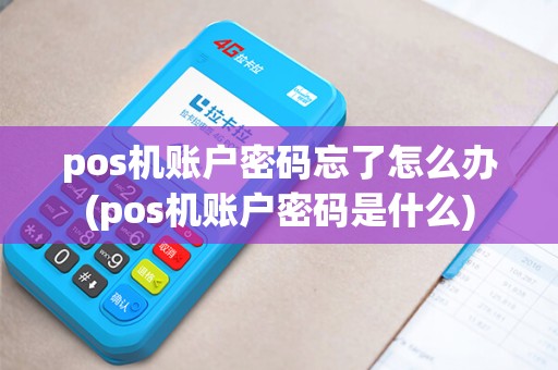 pos机账户密码忘了怎么办(pos机账户密码是什么)