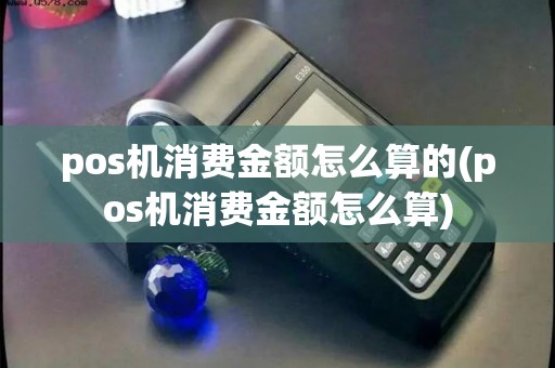 pos机消费金额怎么算的(pos机消费金额怎么算)
