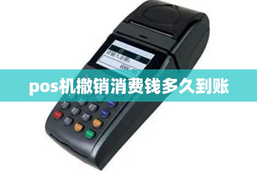 pos机撤销消费钱多久到账