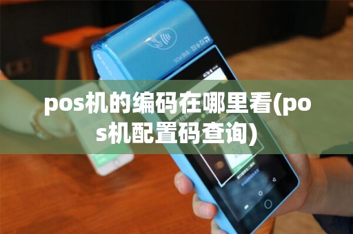 pos机的编码在哪里看(pos机配置码查询)