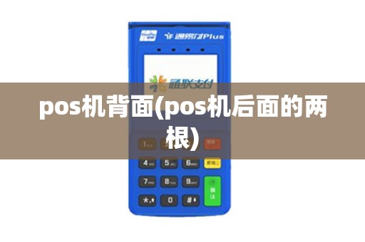 pos机背面(pos机后面的两根)