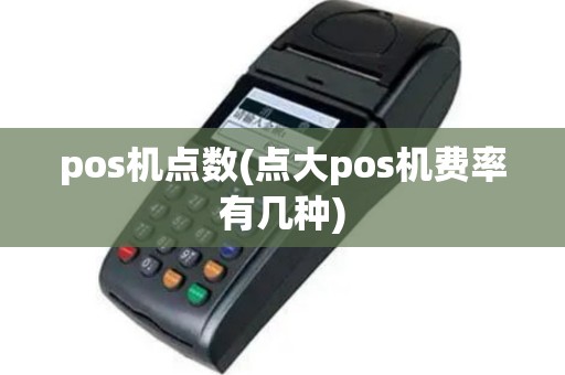 pos机点数(点大pos机费率有几种)