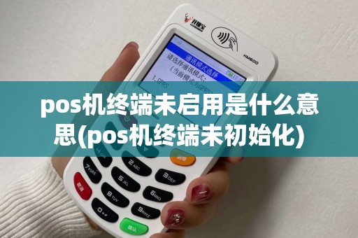 pos机终端未启用是什么意思(pos机终端未初始化)