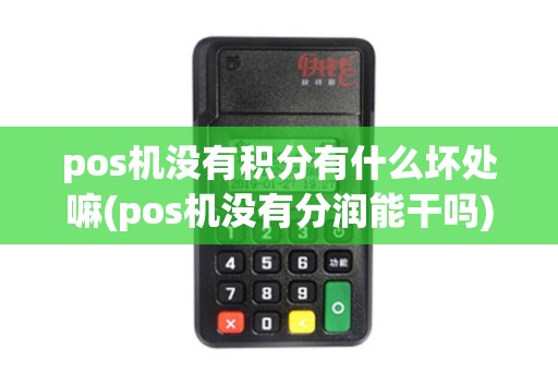 pos机没有积分有什么坏处嘛(pos机没有分润能干吗)