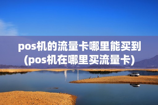 pos机的流量卡哪里能买到(pos机在哪里买流量卡)