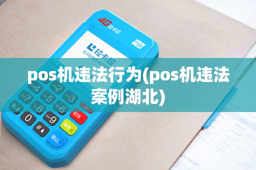 pos机违法行为(pos机违法案例湖北)