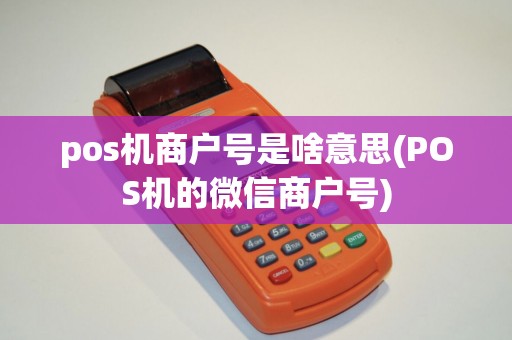 pos机商户号是啥意思(POS机的微信商户号)