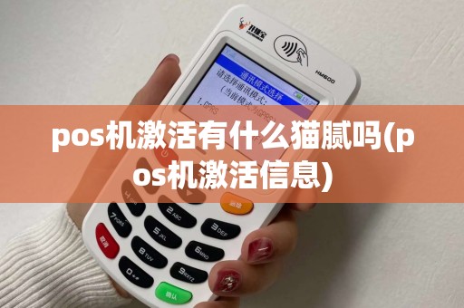 pos机激活有什么猫腻吗(pos机激活信息)