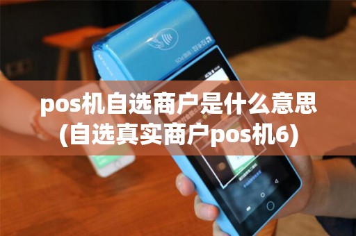 pos机自选商户是什么意思(自选真实商户pos机6)
