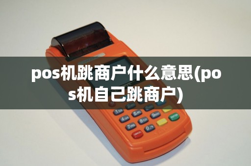 pos机跳商户什么意思(pos机自己跳商户)
