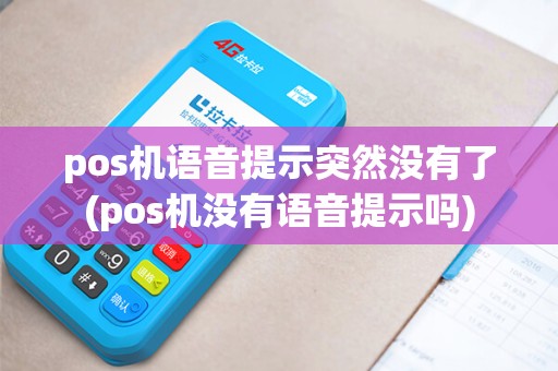 pos机语音提示突然没有了(pos机没有语音提示吗)