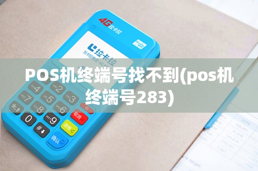 POS机终端号找不到(pos机终端号283)