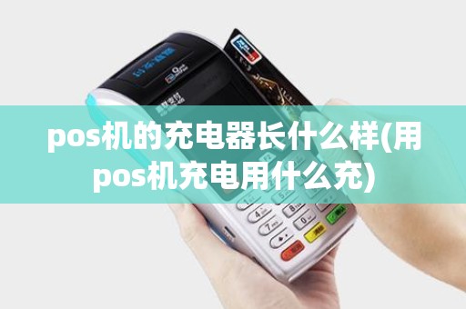 pos机的充电器长什么样(用pos机充电用什么充)