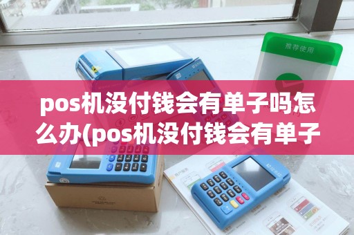 pos机没付钱会有单子吗怎么办(pos机没付钱会有单子吗)