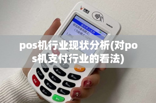 pos机行业现状分析(对pos机支付行业的看法)
