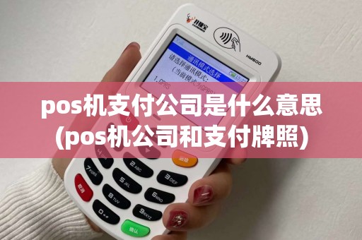 pos机支付公司是什么意思(pos机公司和支付牌照)