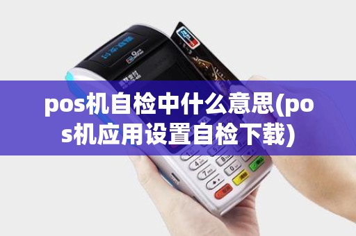 pos机自检中什么意思(pos机应用设置自检下载)