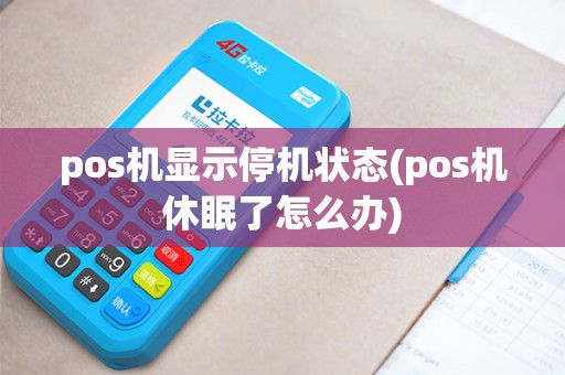 pos机显示停机状态(pos机休眠了怎么办)