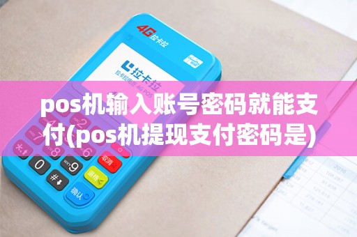 pos机输入账号密码就能支付(pos机提现支付密码是)