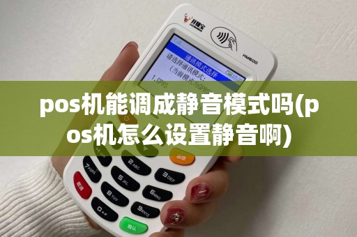 pos机能调成静音模式吗(pos机怎么设置静音啊)