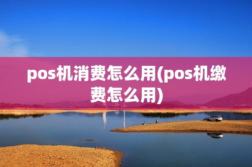 pos机消费怎么用(pos机缴费怎么用)
