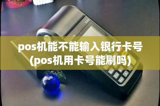 pos机能不能输入银行卡号(pos机用卡号能刷吗)