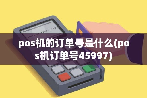 pos机的订单号是什么(pos机订单号45997)