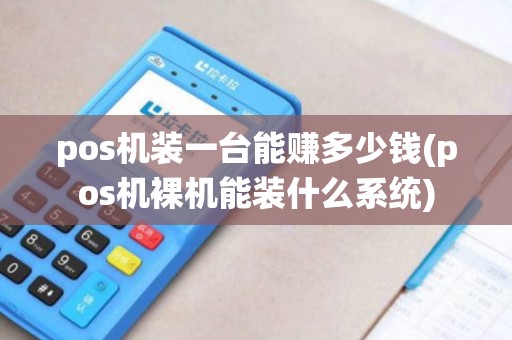 pos机装一台能赚多少钱(pos机裸机能装什么系统)