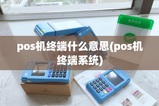 pos机终端什么意思(pos机终端系统)
