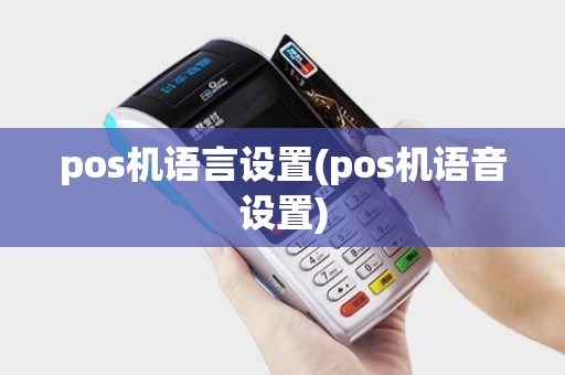pos机语言设置(pos机语音设置)