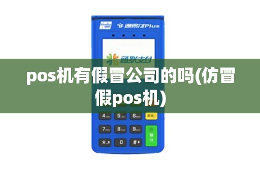 pos机有假冒公司的吗(仿冒假pos机)