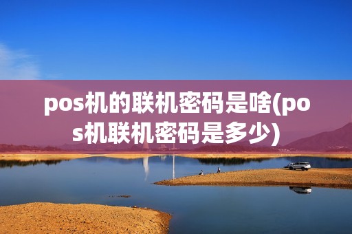 pos机的联机密码是啥(pos机联机密码是多少)