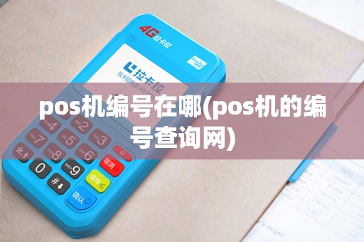pos机编号在哪(pos机的编号查询网)