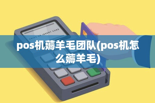 pos机薅羊毛团队(pos机怎么薅羊毛)