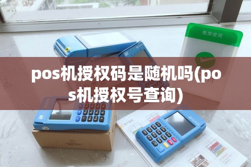 pos机授权码是随机吗(pos机授权号查询)
