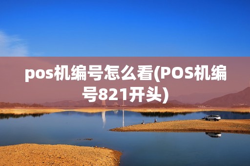pos机编号怎么看(POS机编号821开头)