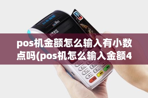 pos机金额怎么输入有小数点吗(pos机怎么输入金额4500)