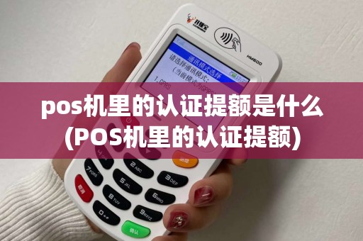 pos机里的认证提额是什么(POS机里的认证提额)