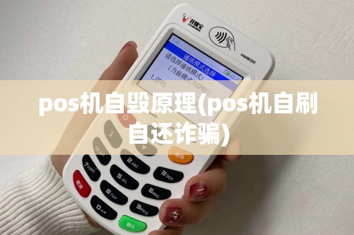 pos机自毁原理(pos机自刷自还诈骗)