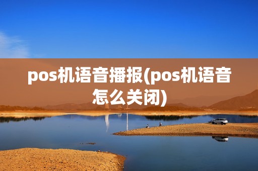 pos机语音播报(pos机语音怎么关闭)