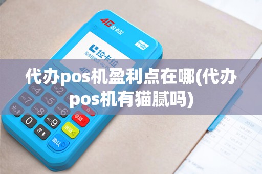 代办pos机盈利点在哪(代办pos机有猫腻吗)