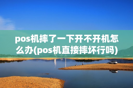 pos机摔了一下开不开机怎么办(pos机直接摔坏行吗)