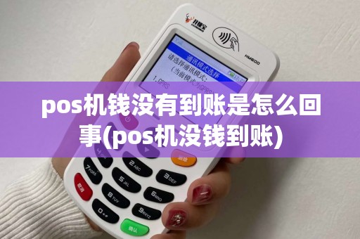 pos机钱没有到账是怎么回事(pos机没钱到账)