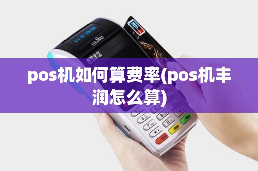 pos机如何算费率(pos机丰润怎么算)