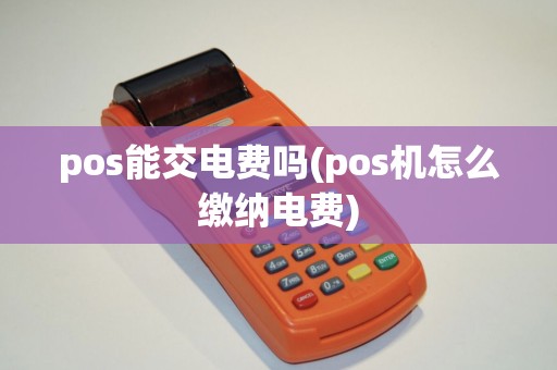 pos能交电费吗(pos机怎么缴纳电费)